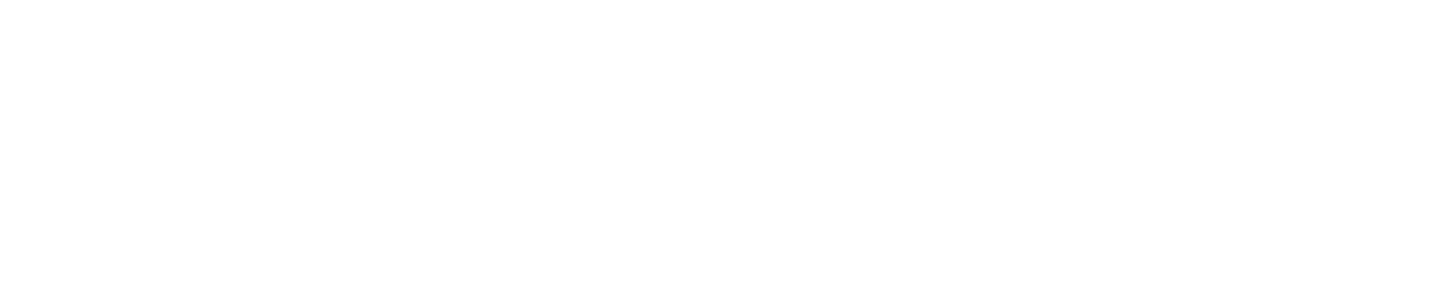 Leopage Logo